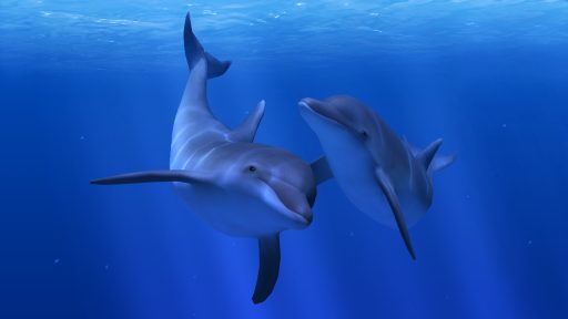 Ocean Rift — скриншот 1 в клубе VR60
