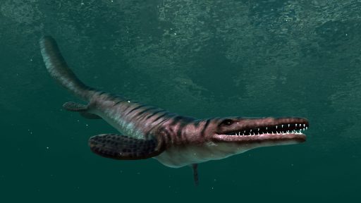 Ocean Rift — скриншот 3 в клубе VR60